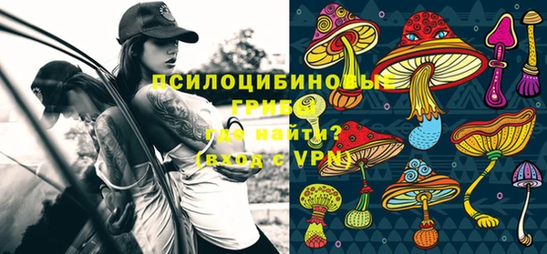 ешки Покачи